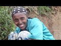 Green Ethiopia: Trees change the environment and people's lives