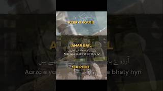 the beauty of novels poetry🫠💐#peer_e_kamil#Amar_Bali#sulphite#urdu_novel#shorts#viral#trending#love