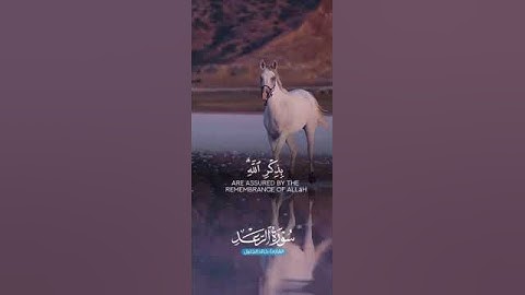#quran #القرآن_الكريم  #آيات من سورة الرعد القارئ خالد الجليل #اكسبلور #راحة_نفسية #فلسطين #غزة