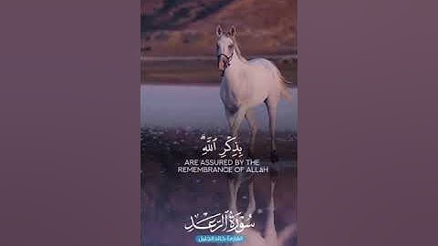 #quran #القرآن_الكريم #آيات من سورة الرعد القارئ خالد الجليل #اكسبلور #راحة_نفسية #فلسطين #غزة