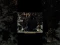 Tchubi ALL THE ANIMALS COME OUT AT NIGHT Feat Figoshin Tchubi ALL THE ANIMALS COME OUT AT NIGHT Feat Figoshin