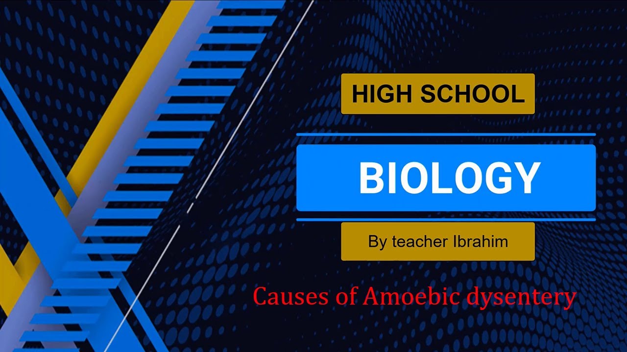 Lesson 88; FORM 3-Causes of Amoebic dysentery. - YouTube
