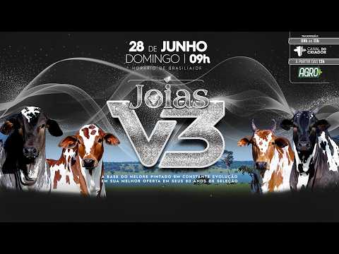 LOTE 228