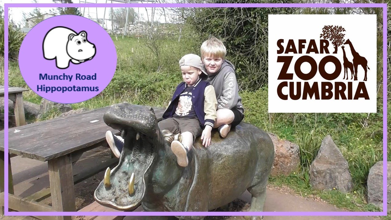 South Lakes Safari Zoo YouTube