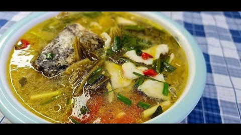 Bí quyết nấu canh Cá lóc phi lê hết  xương thịt cá dai ngon ngọt nước dùng thơm ngon#thaicooking