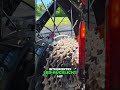 E-Bike-Rücklicht: Warnblinker & Bremslicht vereint - Genial einfach! #ebike