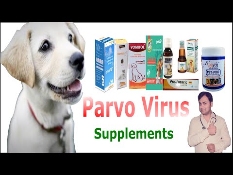 parvovirus medicine