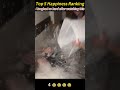 mischief#funnyvideos #funny #funnytiktok #foryou #funnyprank #viralvideo #funnymoments #funnyvideos