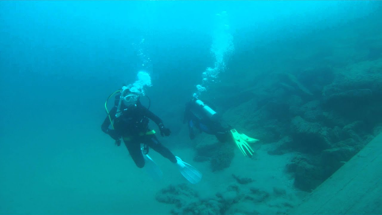 Invasive goby stampede, Tobermory 2014