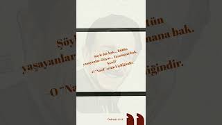 Bi̇r Masaldir Yaşamak