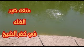 ثاني فيديو لينا في كفر الشيخ متعه غمازات مباشر
