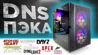 :         DNS  2023 !   !  !