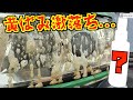 【黄ばみ取り】シュッと吹きかけるだけでヘッドライト黄ばみ激落ち!!その商品は一体...!?【洗車】