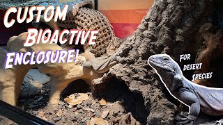 How To Create a Custom Bioactive Desert Reptile Enclosure!