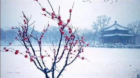 Thumbnail of 〖我爱你塞北的雪 - I love you snow Saibei 〗中国18把小提琴曲
