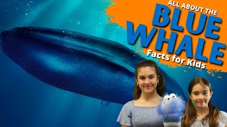 Blue Whale Facts | Facts For Kids