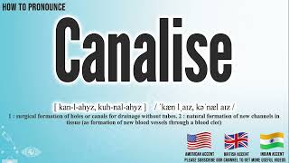Canalise Pronunciation | How to Pronounce (say) Canalise CORRECTLY | Meaning Definition