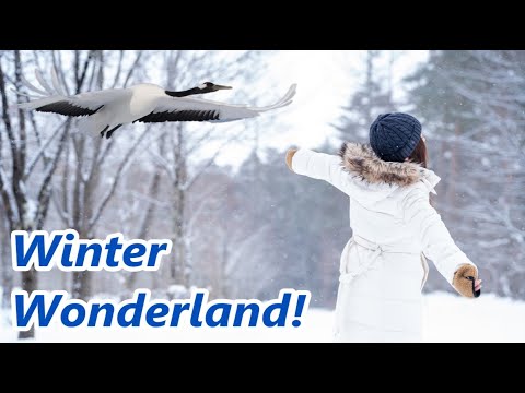 Snow Wonderland: Hokkaido East. Explore great nature, powder snow, delicious seafood! 雪のワンダーランド道東