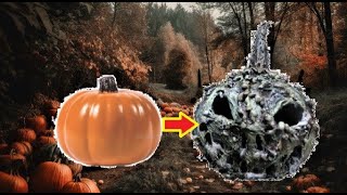 How to make ROTTING PUMPKINS from cheap foam pumpkins DIY PUMPKIN CREATURES HEAD
