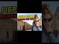 Gibraltar - promo #gibraltar #adtseya #travelvlog#travel #gb #monkey #mountain #cave #europapoint