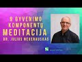 9 gyvenimo komponentų meditacija. Dr. Julius Neverauskas
