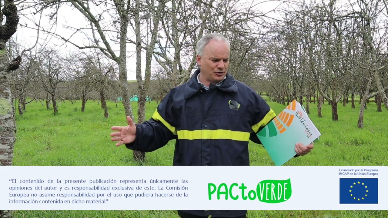 PACTaller3: Cubiertas vegetales sembradas o espontáneas en cultivos leñosos