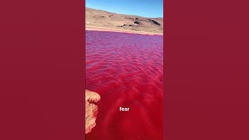 Thumbnail of Sea of Galilee Turns BLOOD RED | Scientists Explain Why