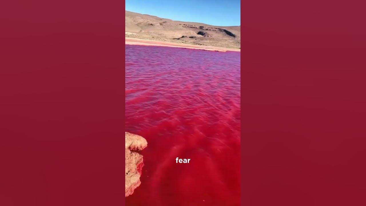 Sea of Galilee Turns BLOOD RED | Scientists Explain Why
