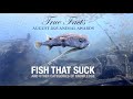 True facts fish that suck