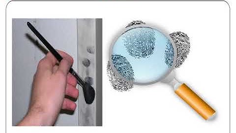 M-21. Ruthenium tetroxide method for detection of fingerprints