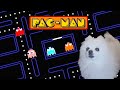 Pacman em cachorrês | NOSTALGIA