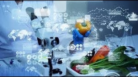 Can AI End World Hunger by 2030? The Future of Food Tech