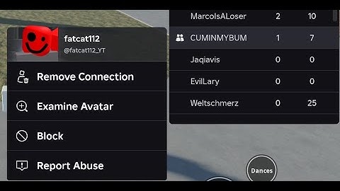 Advanced Ragdoll Fighting Shenanigans Part 3