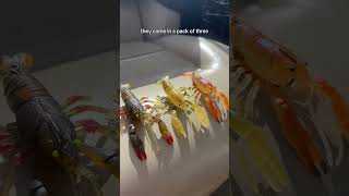 These realistic crawfish baits are going to get crushed this spring! #fishing #bassfishing #fyp