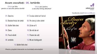 Video thumbnail of "Ducu Bertzi - Iertările (06/13) [Best of '06]"