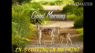 3 STD Ln-5 EDITING IN MS PAINT BOOK BACK EXERCISES VIDEO