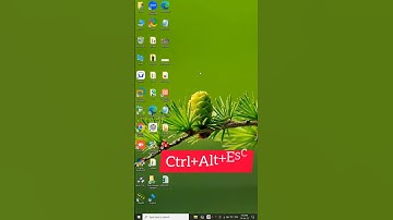 Check Laptop has SSD or HDD Hard Disk #youtubeshorts #laptop #ssd #hdd #trending #windows #2025