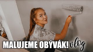 Malujeme obývák! VLOG