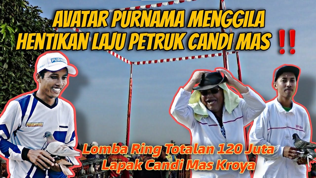 Avatar Purnama Menggila Di Lomba Ring PMTI Lapak Candi Mas Kroya Anniversary Liga Adipala Kroya