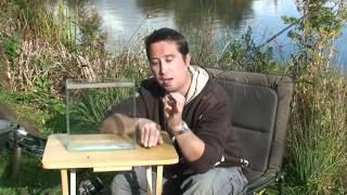 The Zig carp fishing rig explained in detail