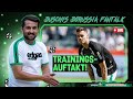 Borussen-Fantalk ⚫⚪🟢 Trainigsauftakt! 🔥Honorat, Reyna & Lacroix? 🙌 By DeinSportsfreund ⚽ #borussia