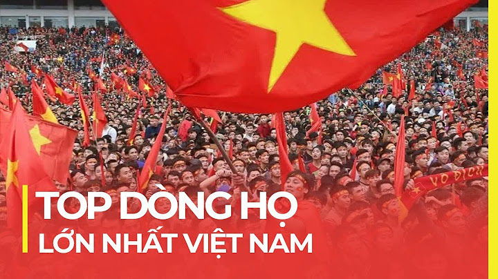 Việt nam có bao nhiêu dòng họ năm 2024