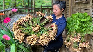 Harvest ginger root and mustard greens and bring them to the market to sell