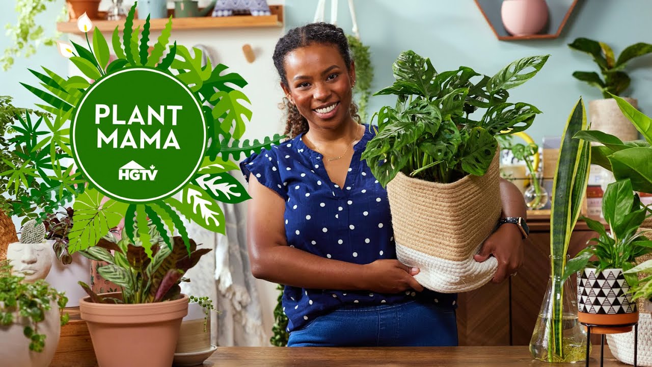 How to Save a Dying Houseplant