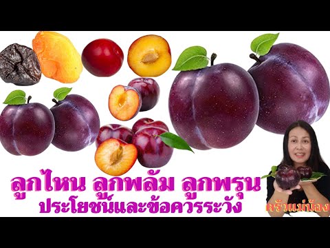 วีดีโอ: โรคของลูกพลัม ส่วนที่ 1