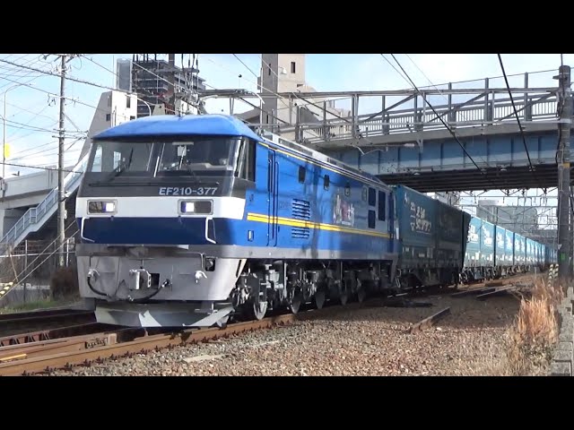 東海道線 下り 臨時高速コンテナ列車 8067レ トヨタロングパス