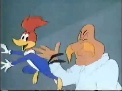 The New Woody Woodpecker Show Close 1987 Youtube The New Woody Woodpecker Show Close 1987 Youtube