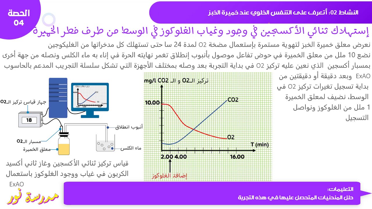 نمط إنتاج الطاقة عند فطر الخميرة في الوسط الهوائي / التنفس الخلوي  الجزء 02 علوم طبيعية سنة 04 متوسط
