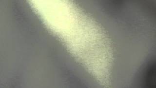 MVI 0619