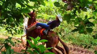 Trolei A E Quase Deu Ruim